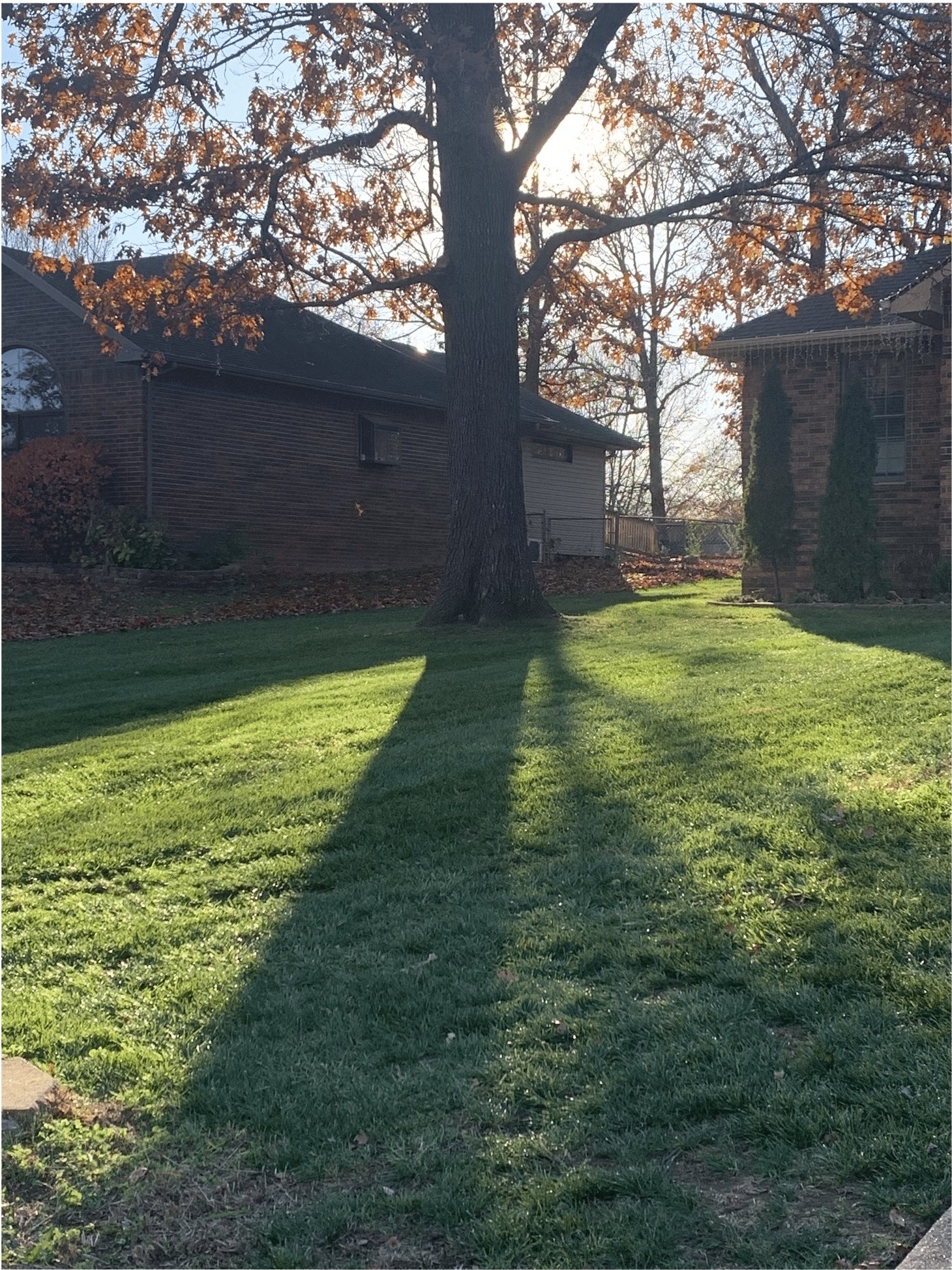 Same front yard after fall cleanup with leaves cleared